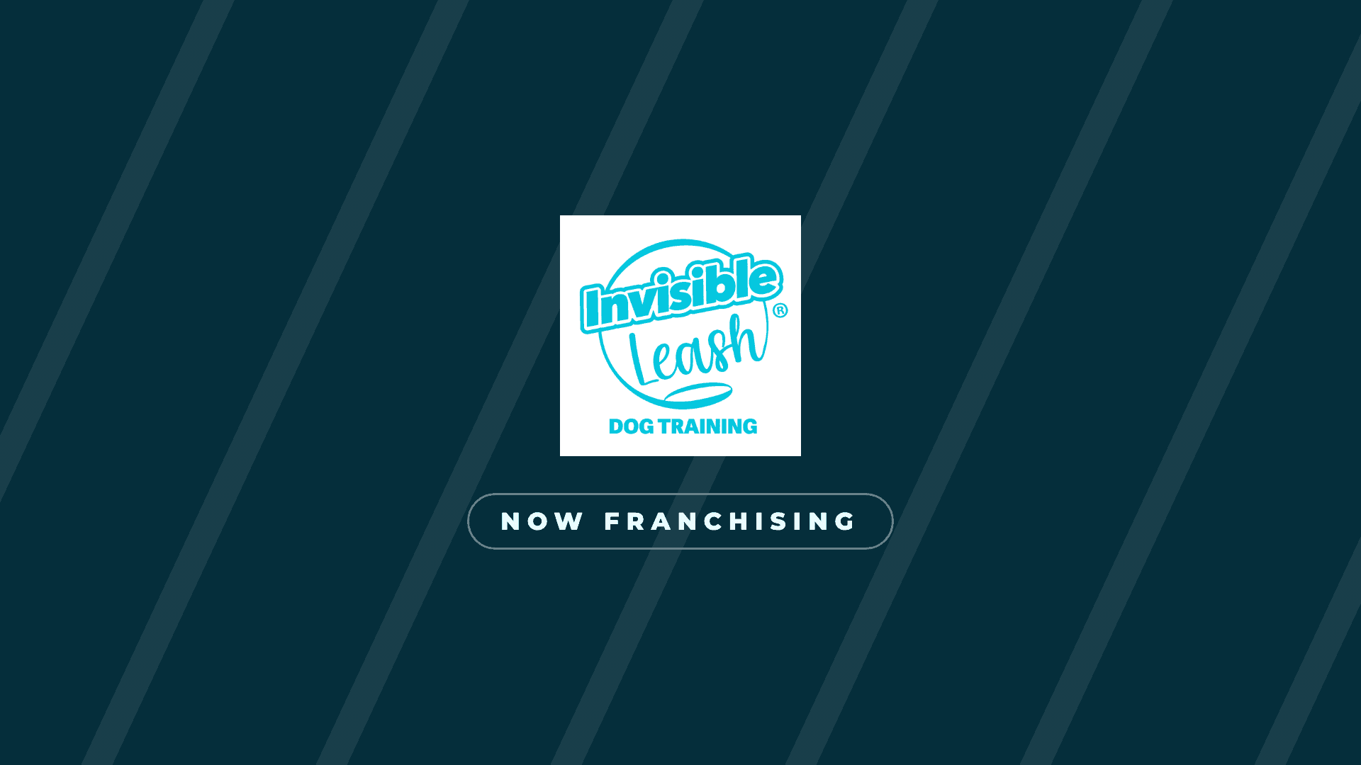 Eric Letendre, founder of Invisible Leash®, working with a dog