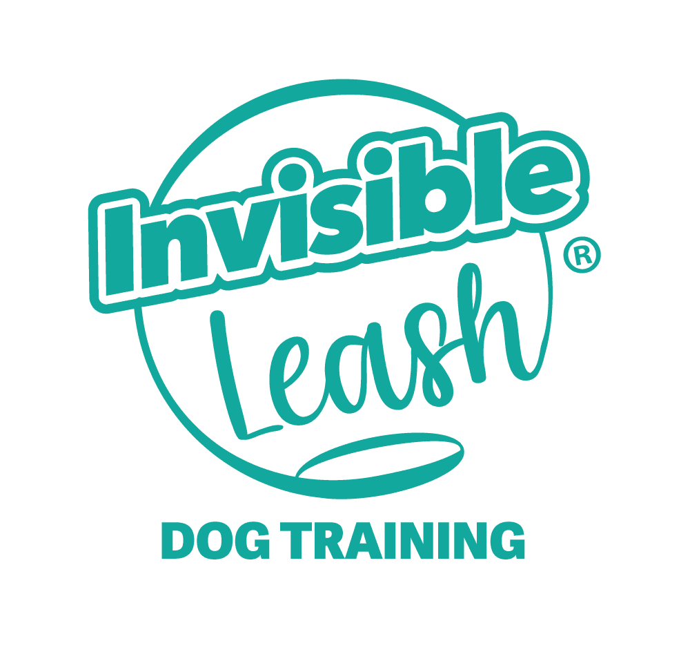 A Day in the Life of an Invisible Leash Franchise Owner