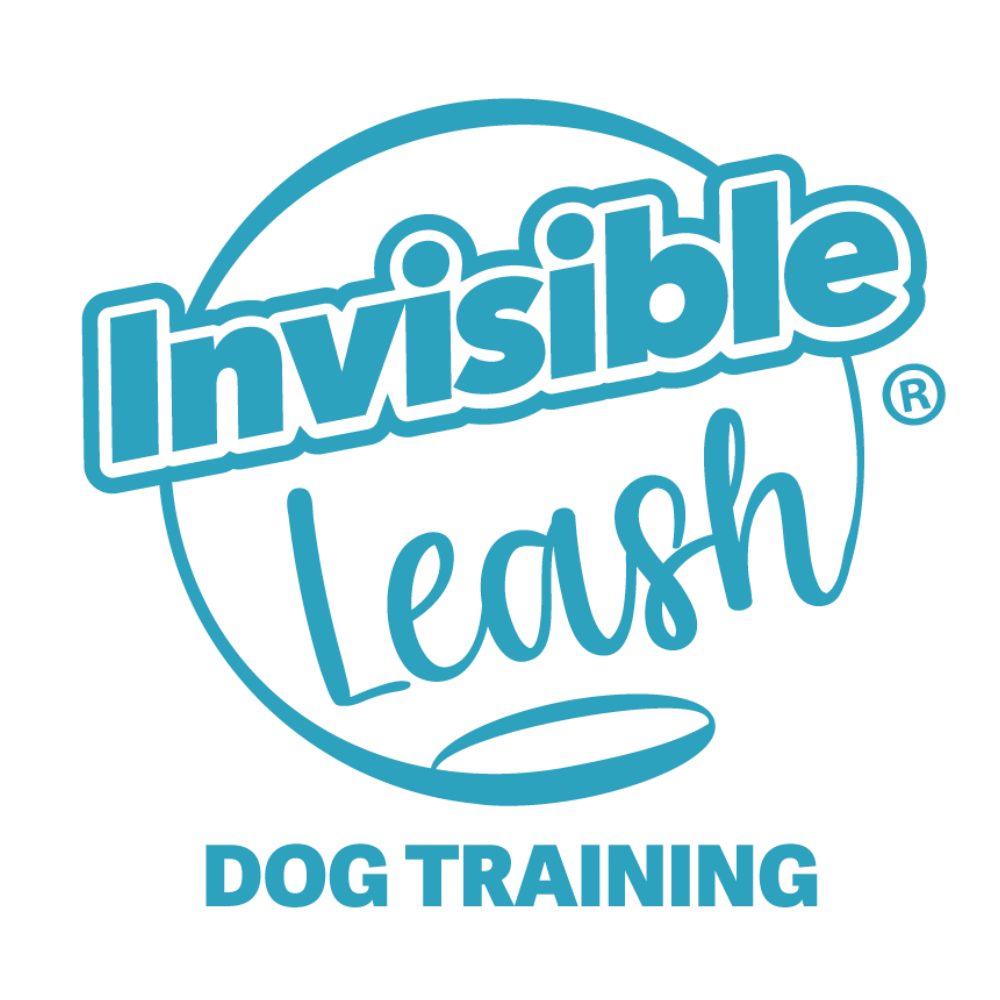 Invisible Leash Dog Training